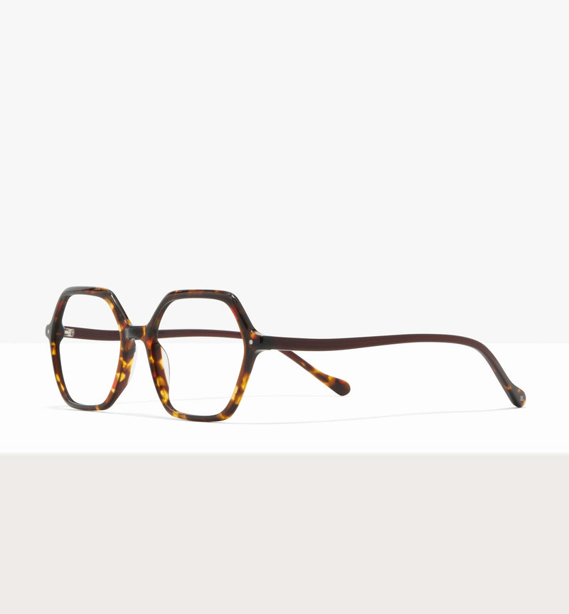 Brown Tort--angled_image