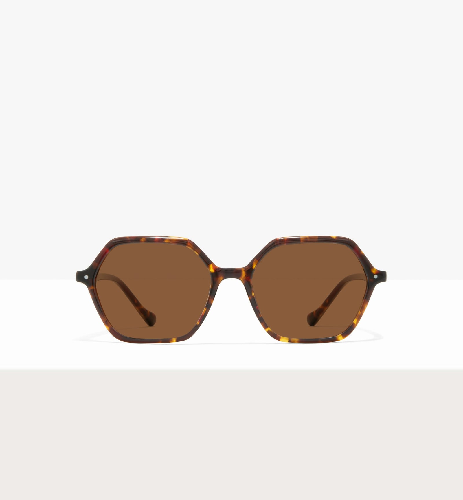 Brown Tort--front_image_sun