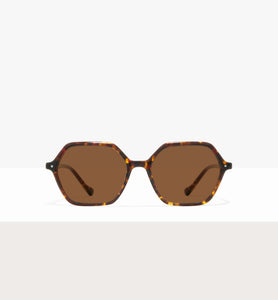 Brown Tort--front_image_sun