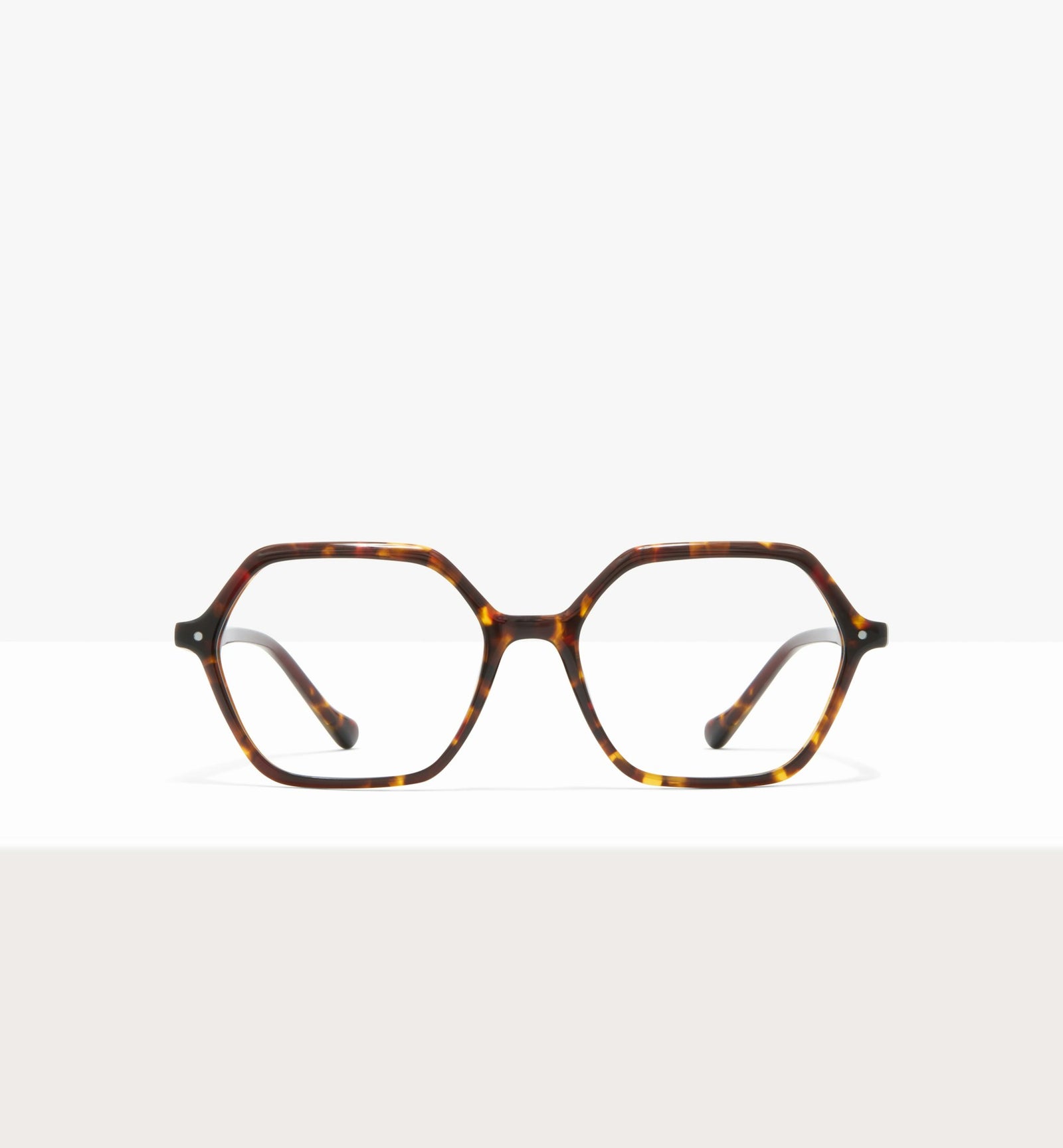 Brown Tort--front_image