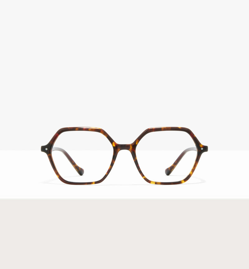 Brown Tort--front_image