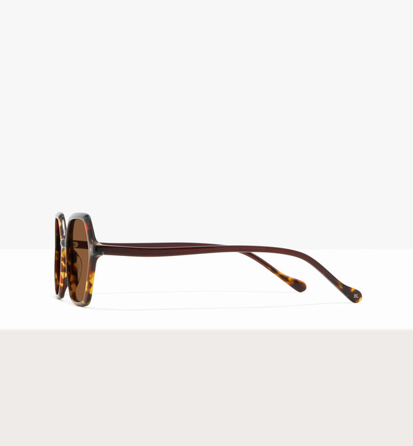 Brown Tort--side_image_sun