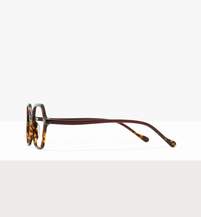 Brown Tort--side_image