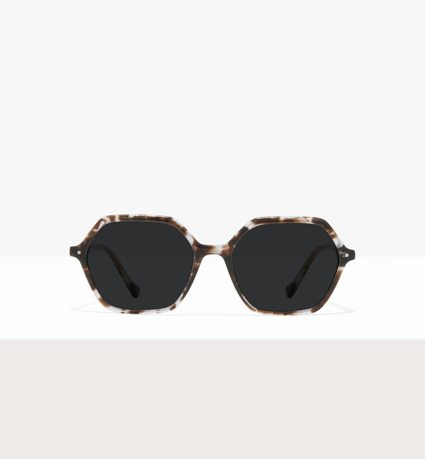 Grey Tort--front_image_sun