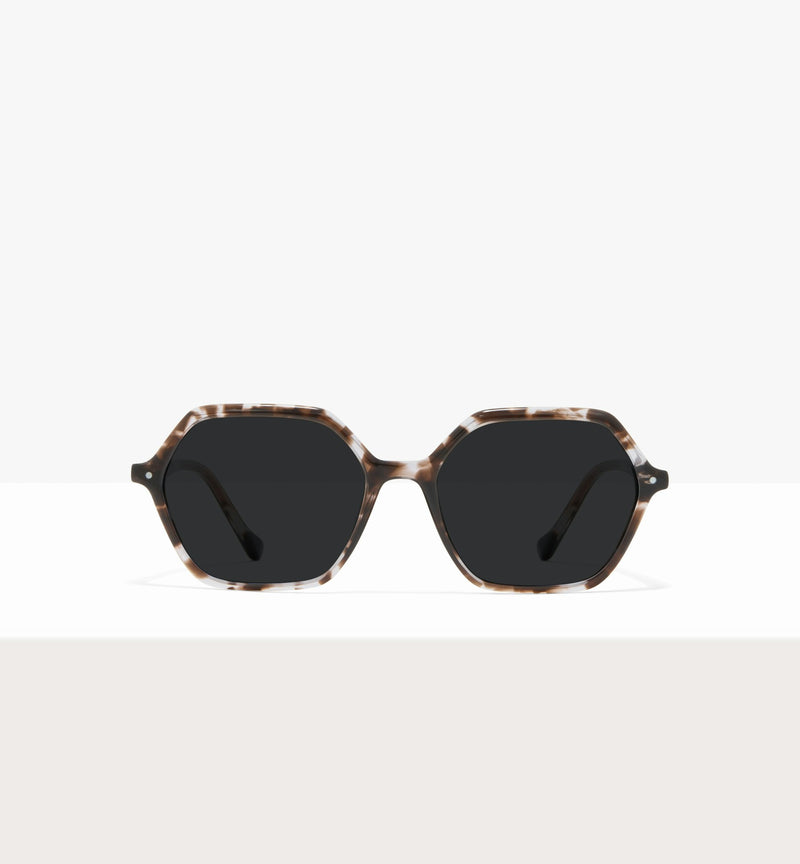 Grey Tort--front_image_sun