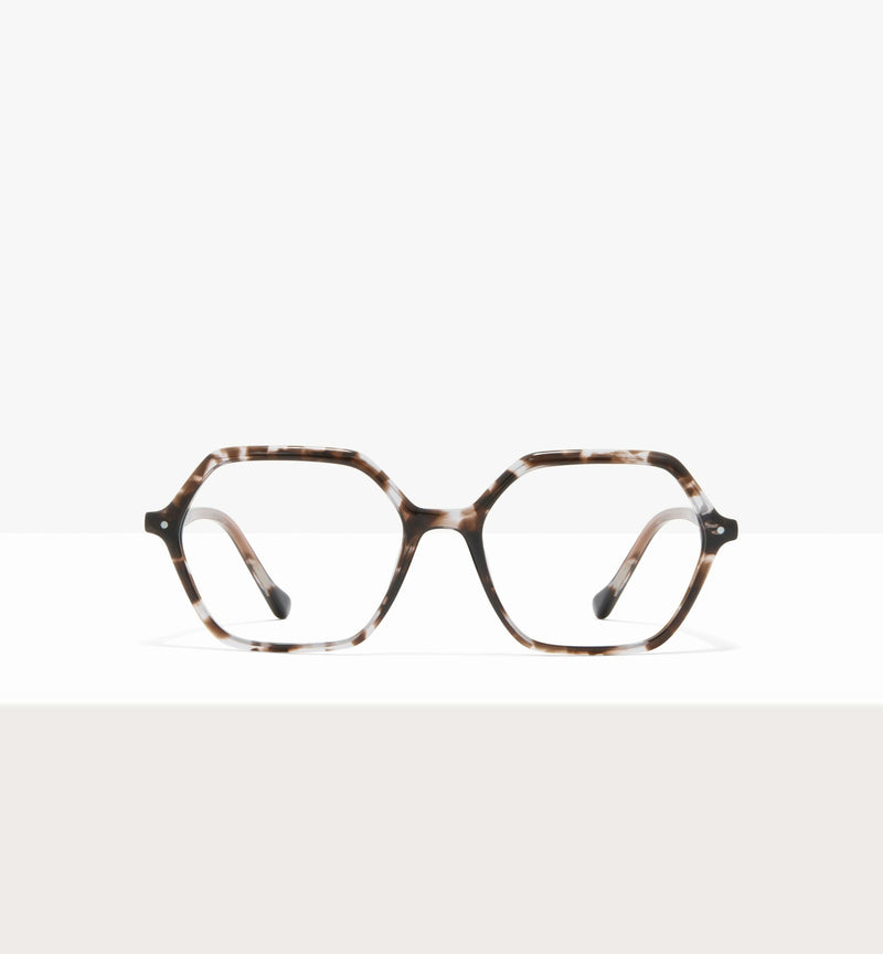 Grey Tort--front_image
