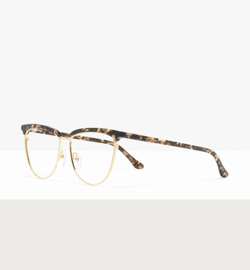 Leopard--angled_image