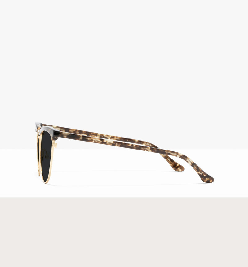 Leopard--side_image_sun