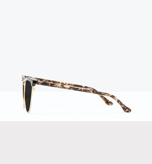 Leopard--side_image_sun