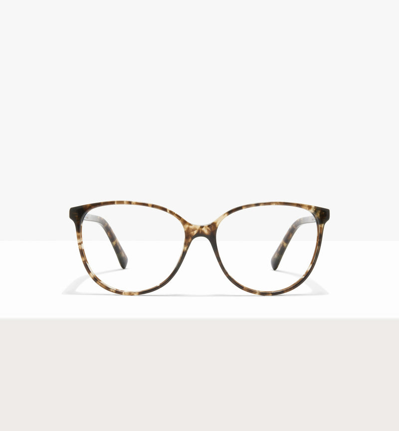 Leopard--front_image