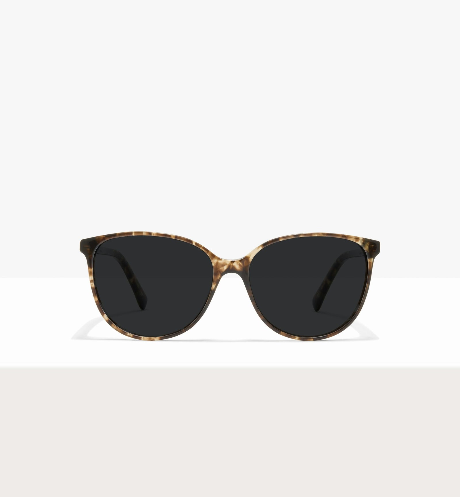 Leopard--front_image_sun