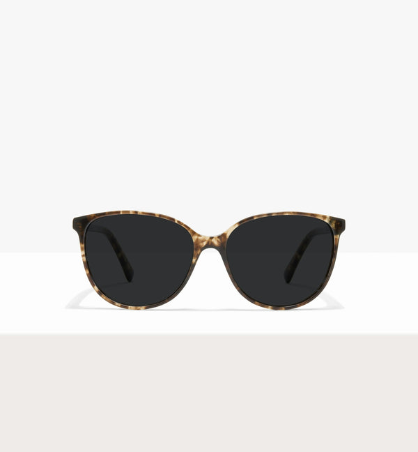 Leopard--front_image_sun