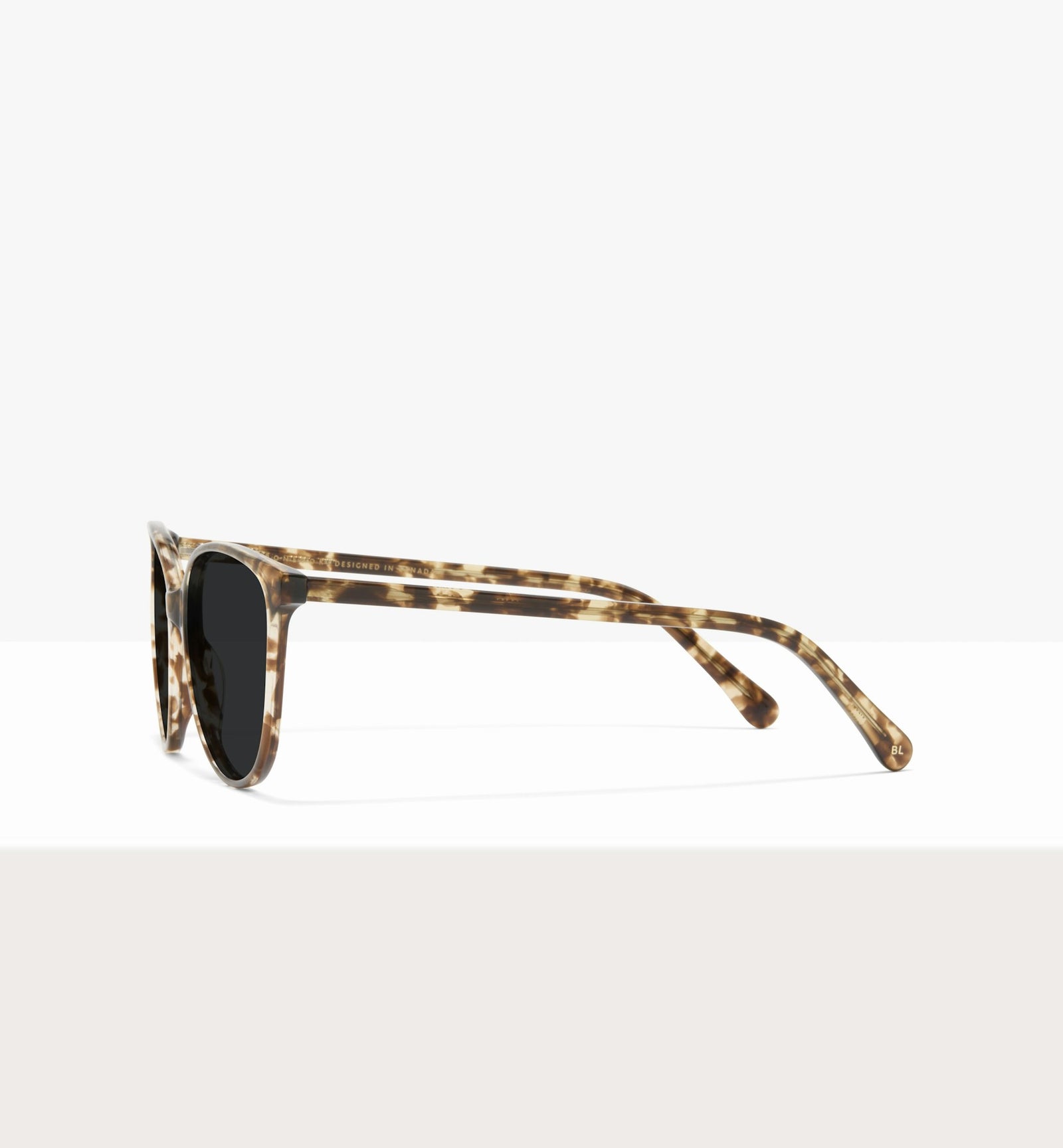 Leopard--side_image_sun