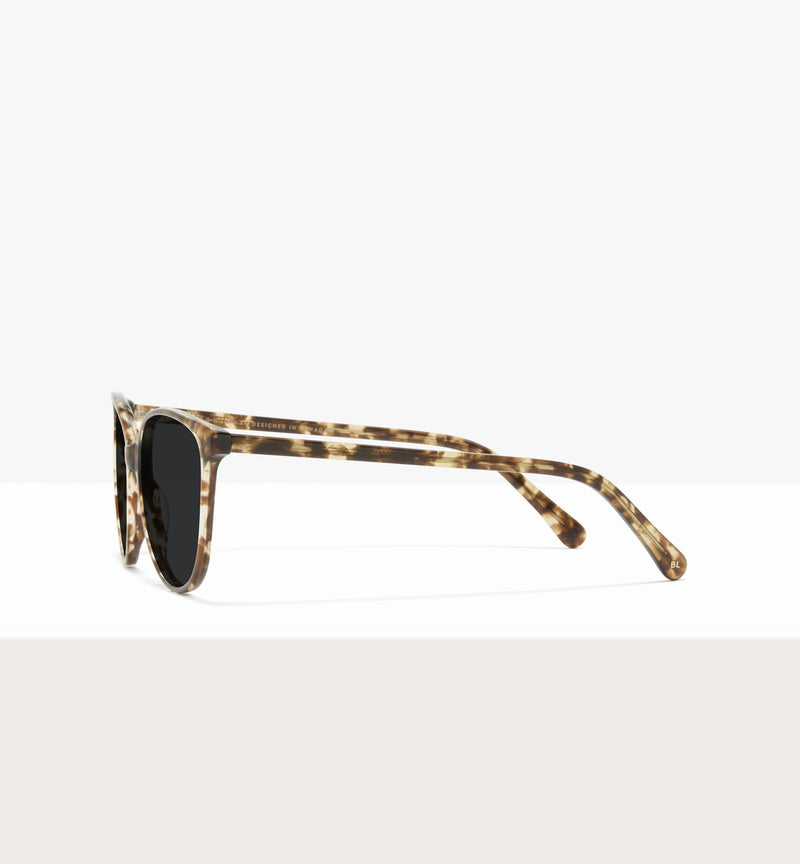 Leopard--side_image_sun