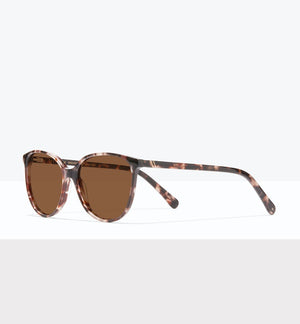 Reef Tort--angled_image_sun