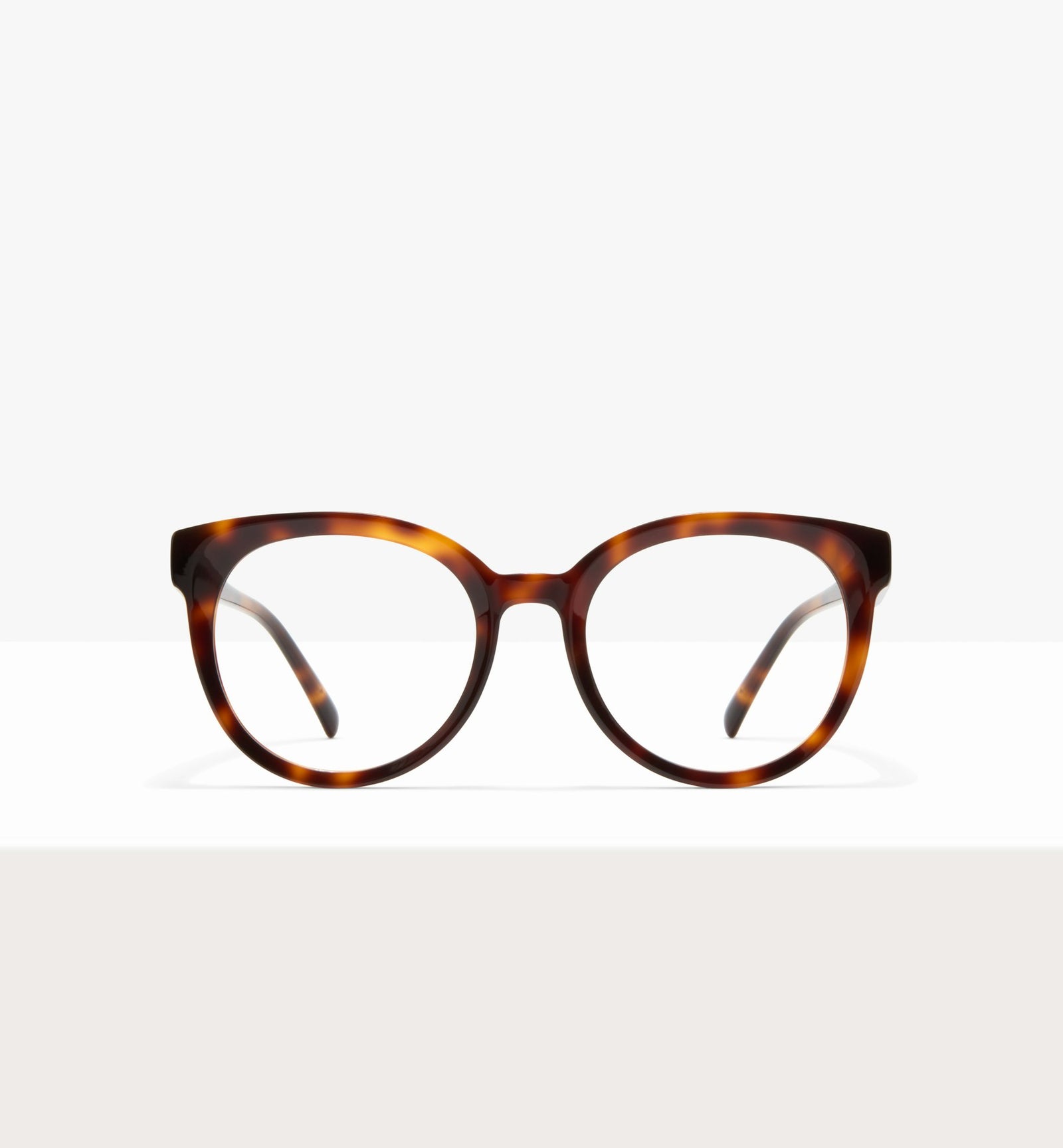 Amber Tort--front_image