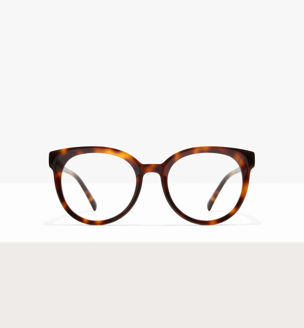 Amber Tort--front_image