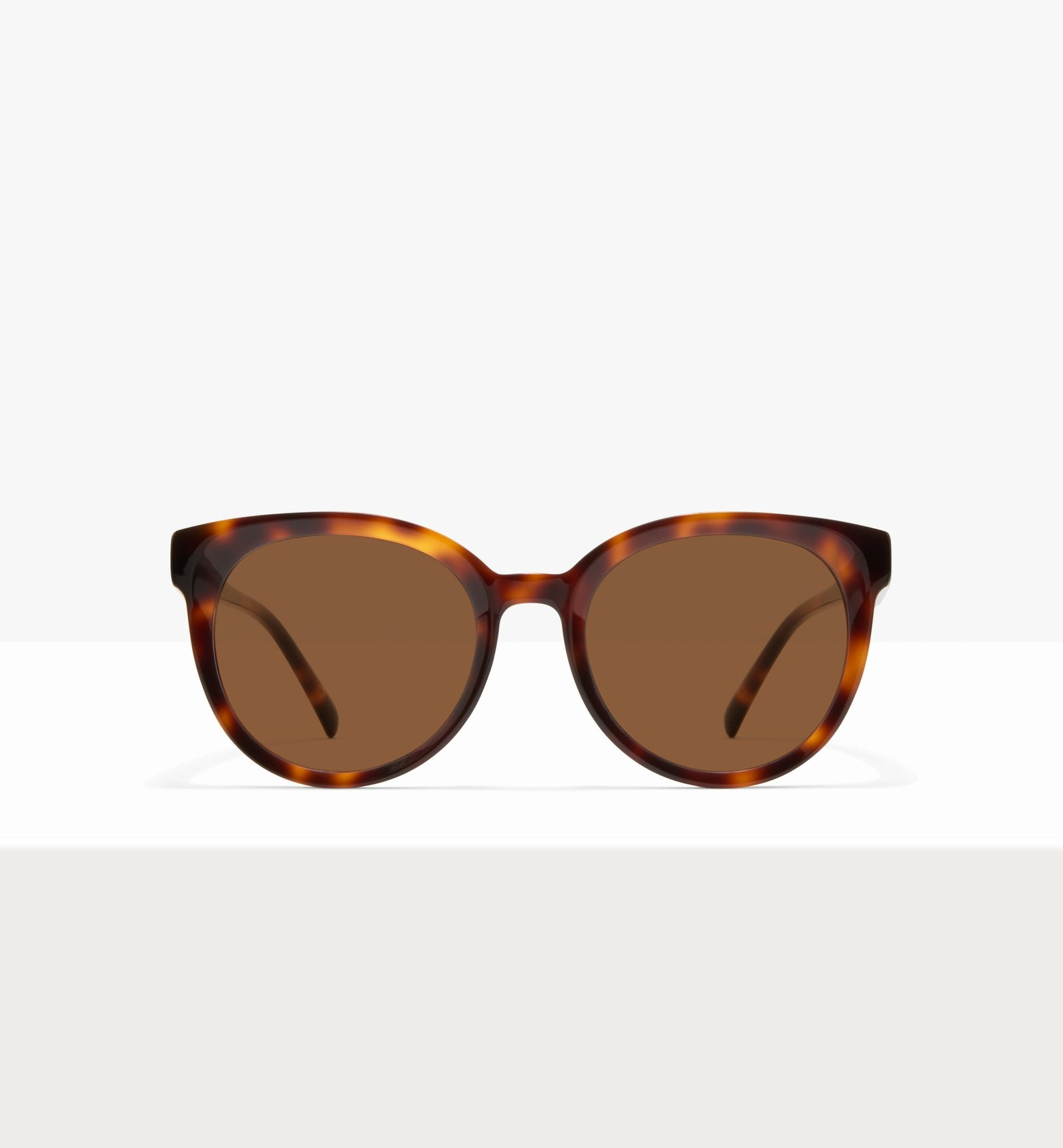 Amber Tort--front_image_sun