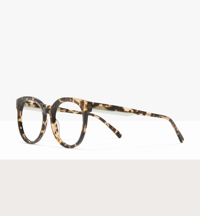 Leopard--angled_image