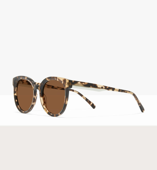 Leopard--angled_image_sun