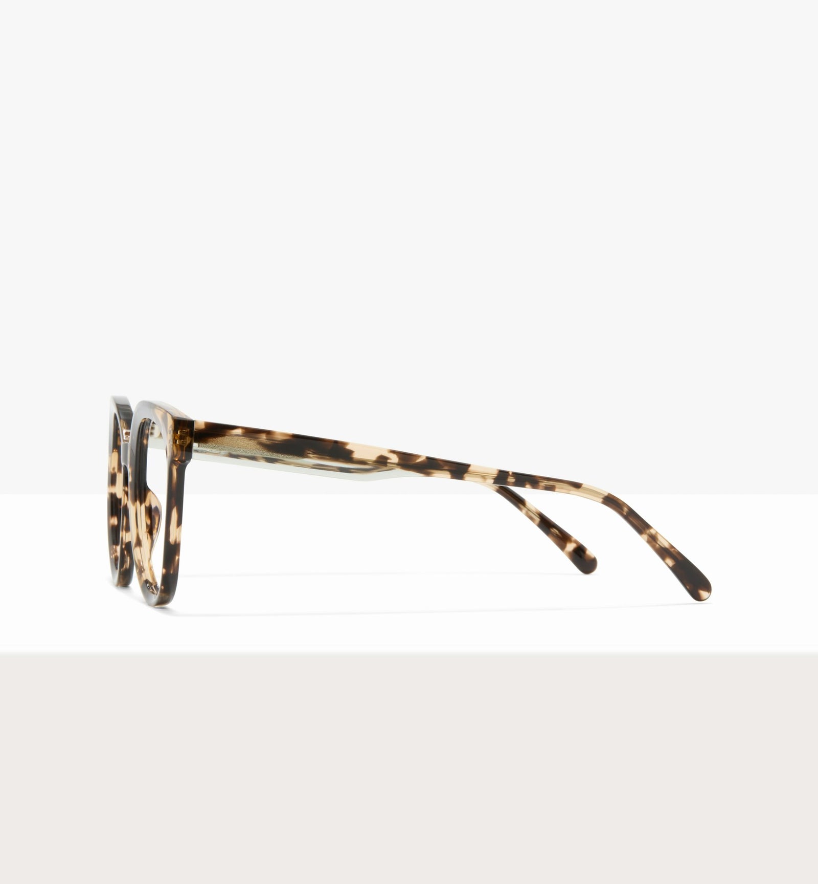 Leopard--side_image