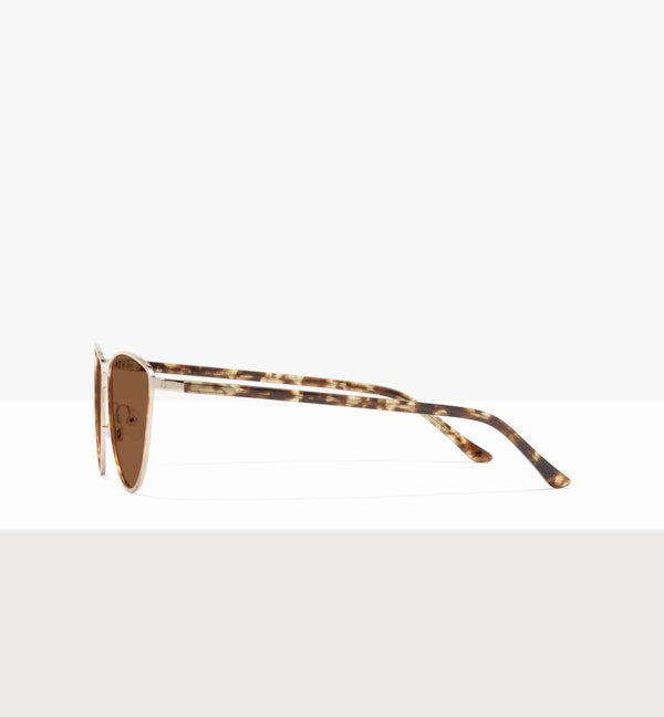 Leopard--side_image_sun