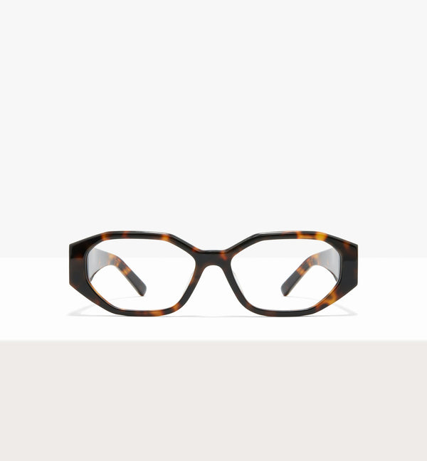 Brown Tort--front_image