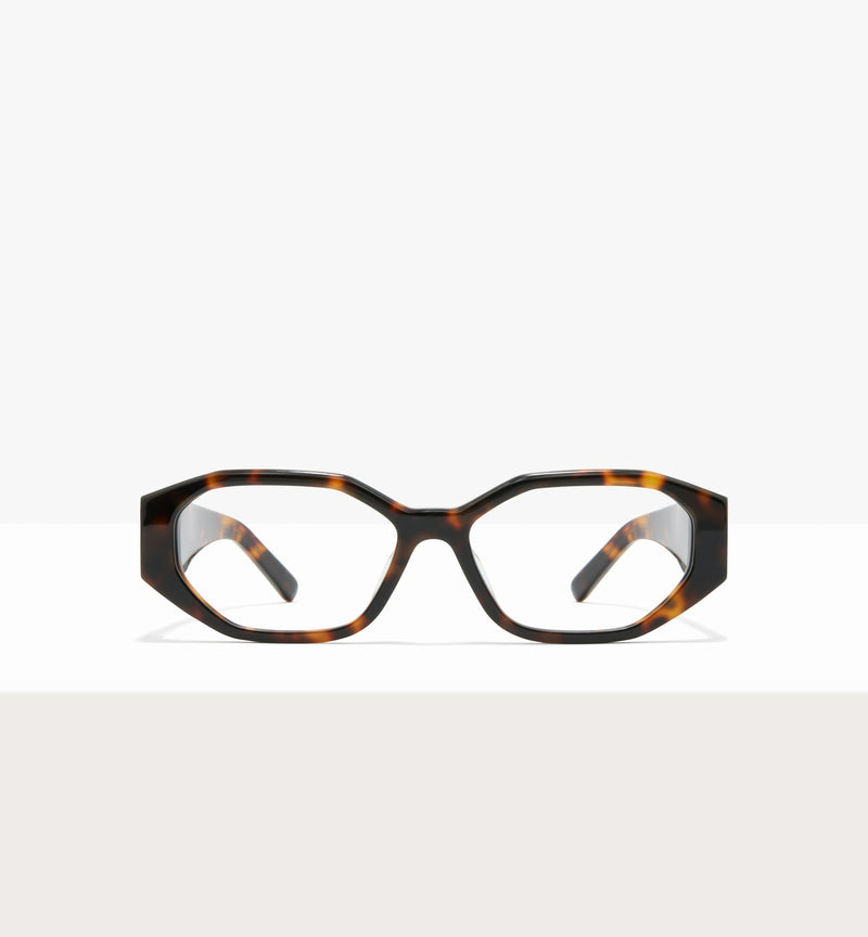 Brown Tort--front_image