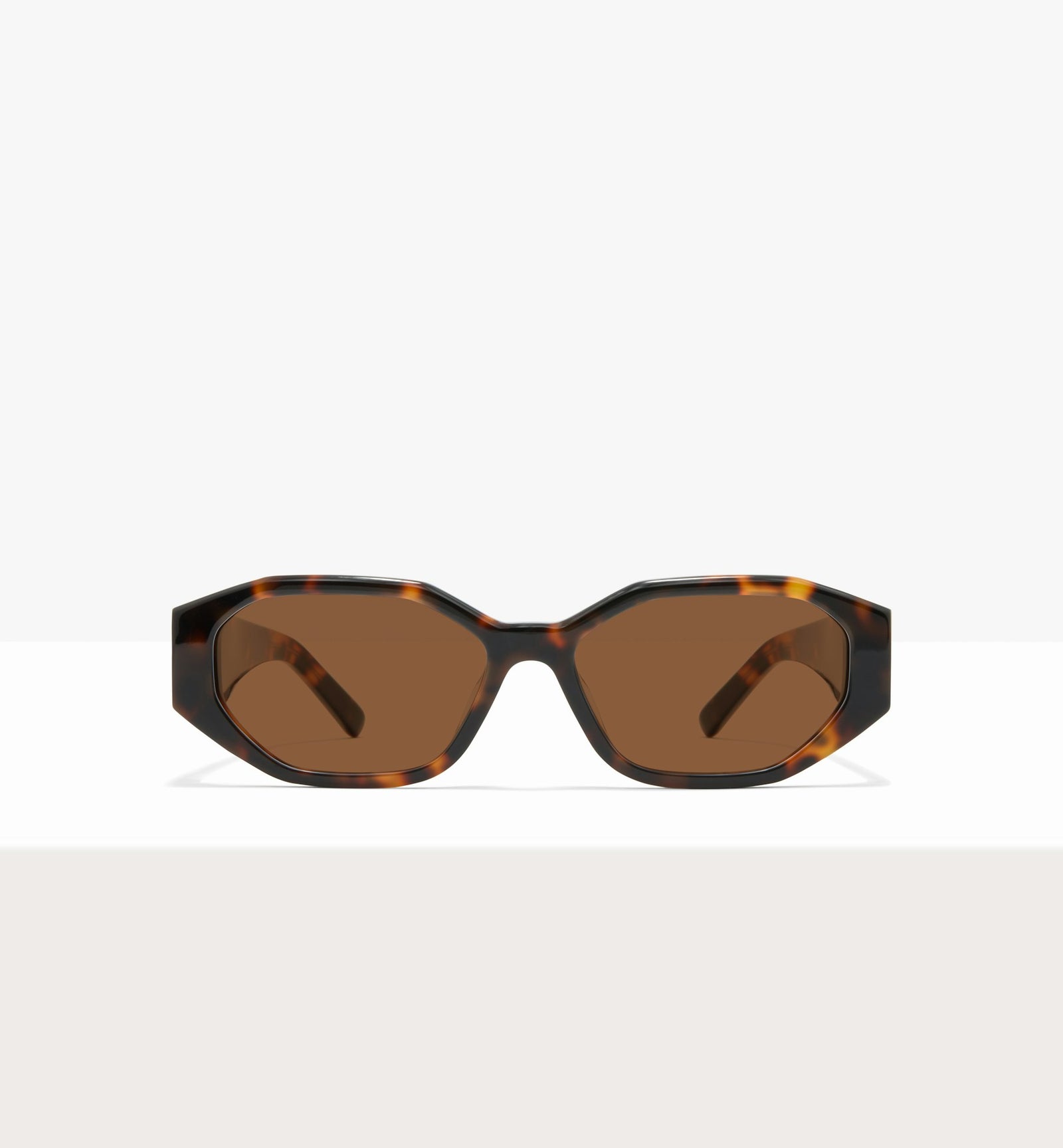 Brown Tort--front_image_sun