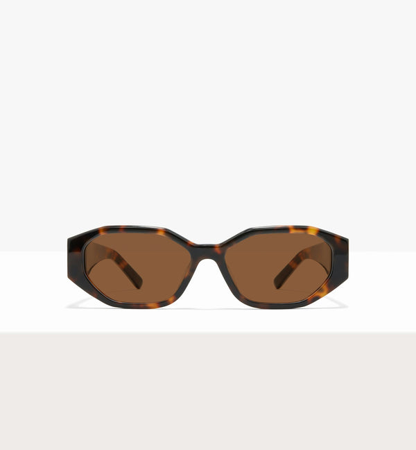 Brown Tort--front_image_sun