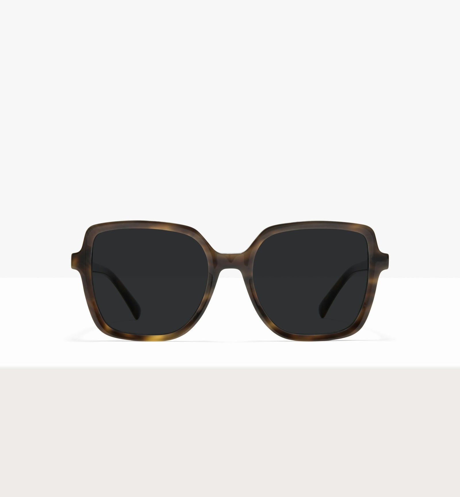 Green Tort--front_image_sun