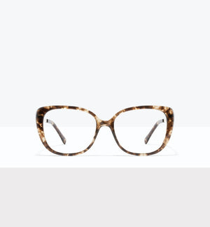 Leopard--front_image