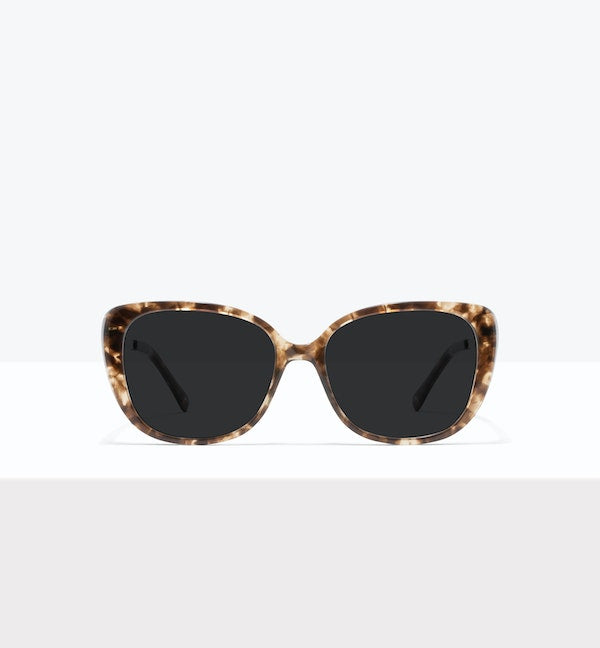 Leopard--front_image_sun