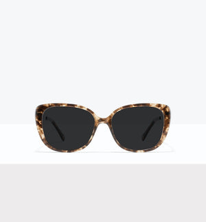Leopard--front_image_sun