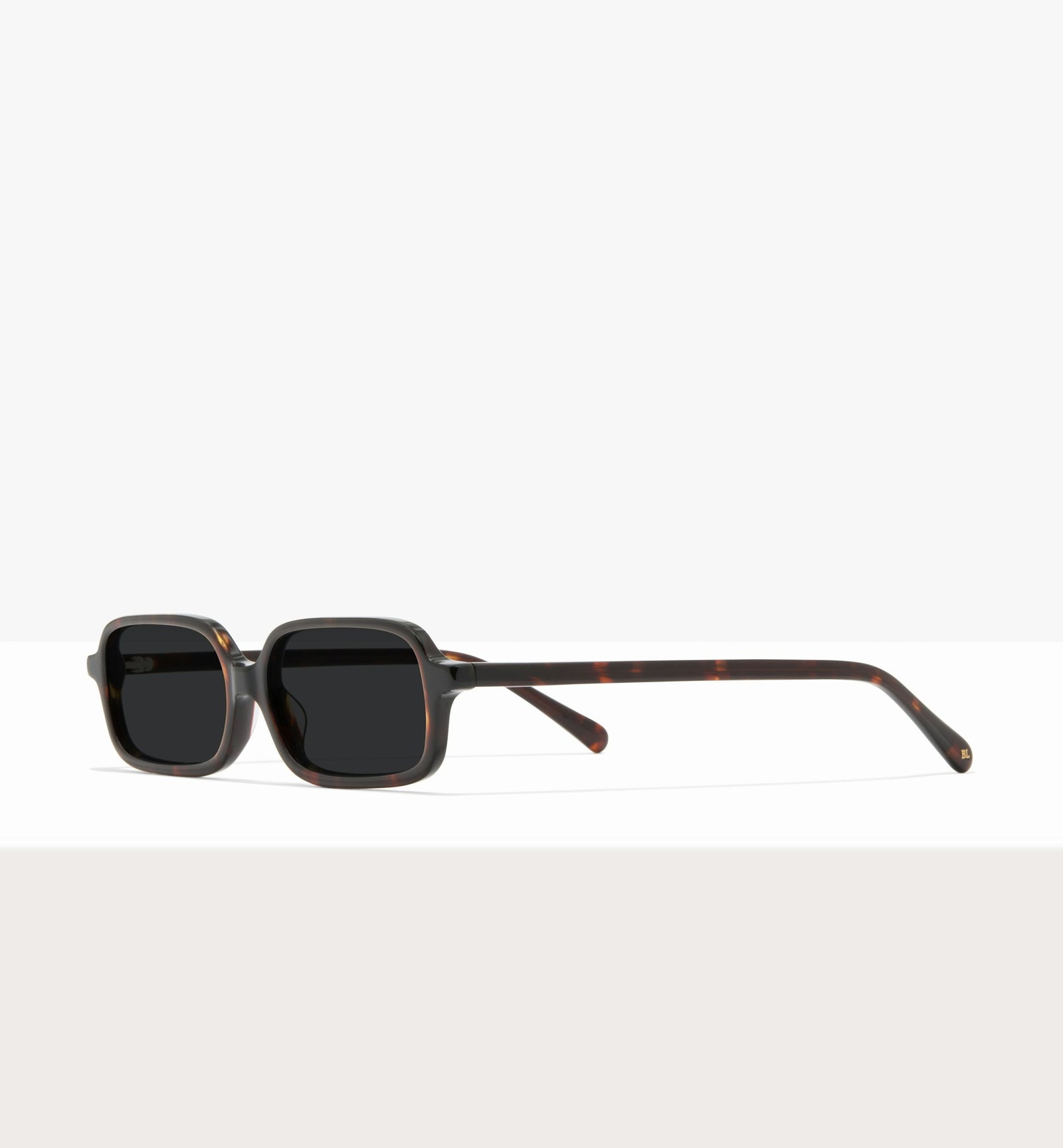Brown Tort--angled_image_sun