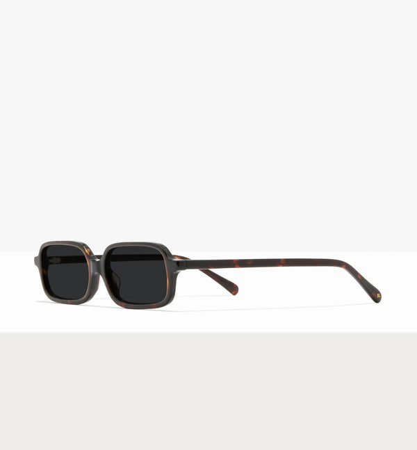 Brown Tort--angled_image_sun