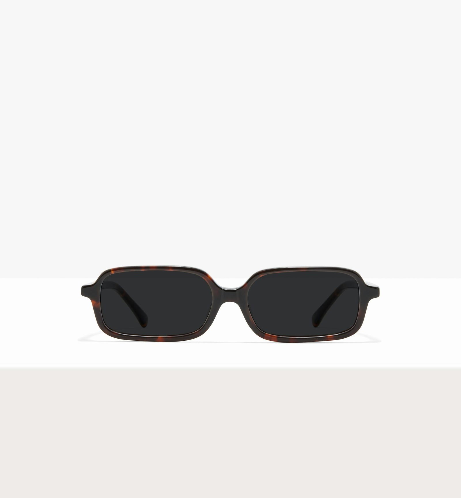 Brown Tort--front_image_sun