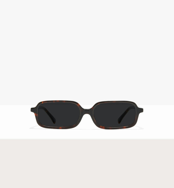 Brown Tort--front_image_sun