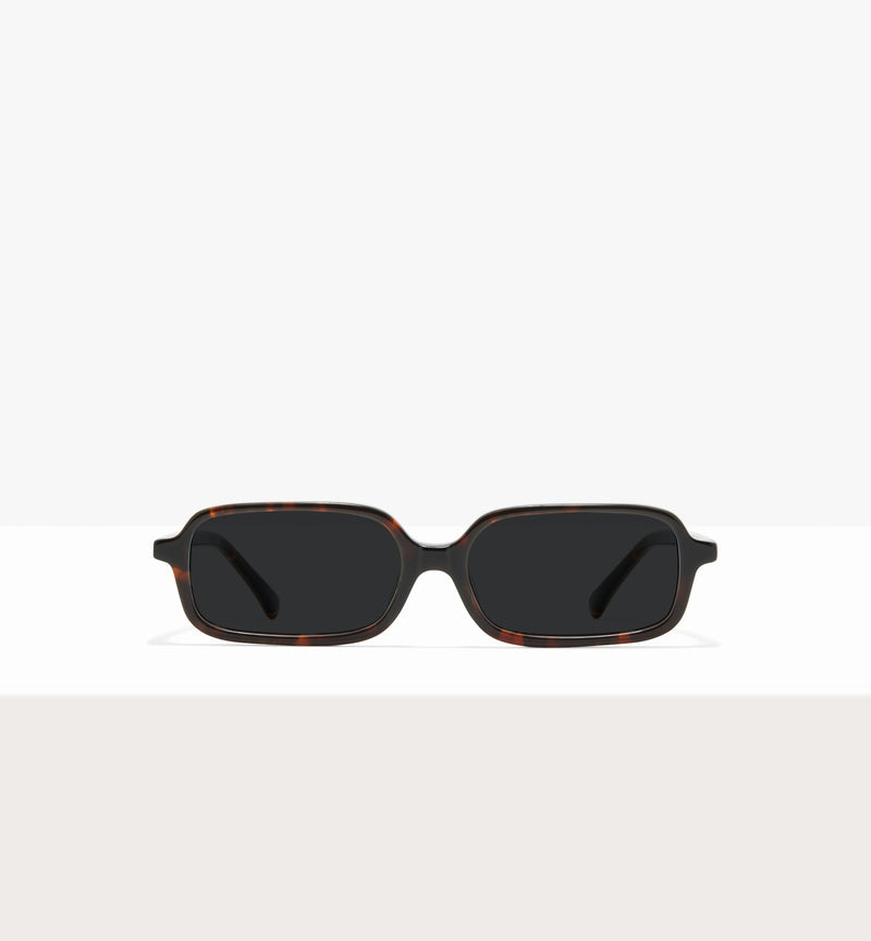 Brown Tort--front_image_sun