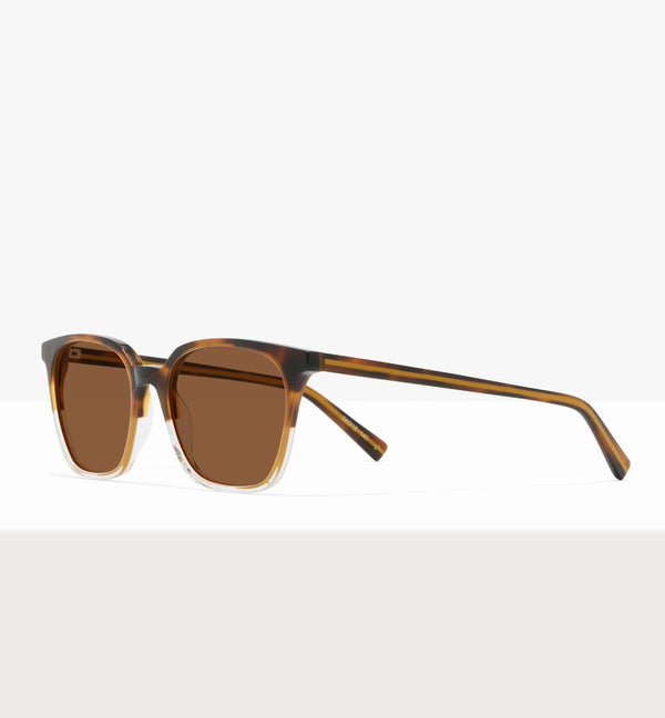 Brown Tort--angled_image_sun