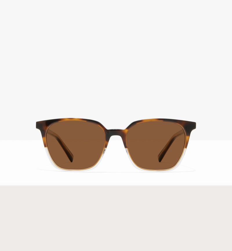 Brown Tort--front_image_sun