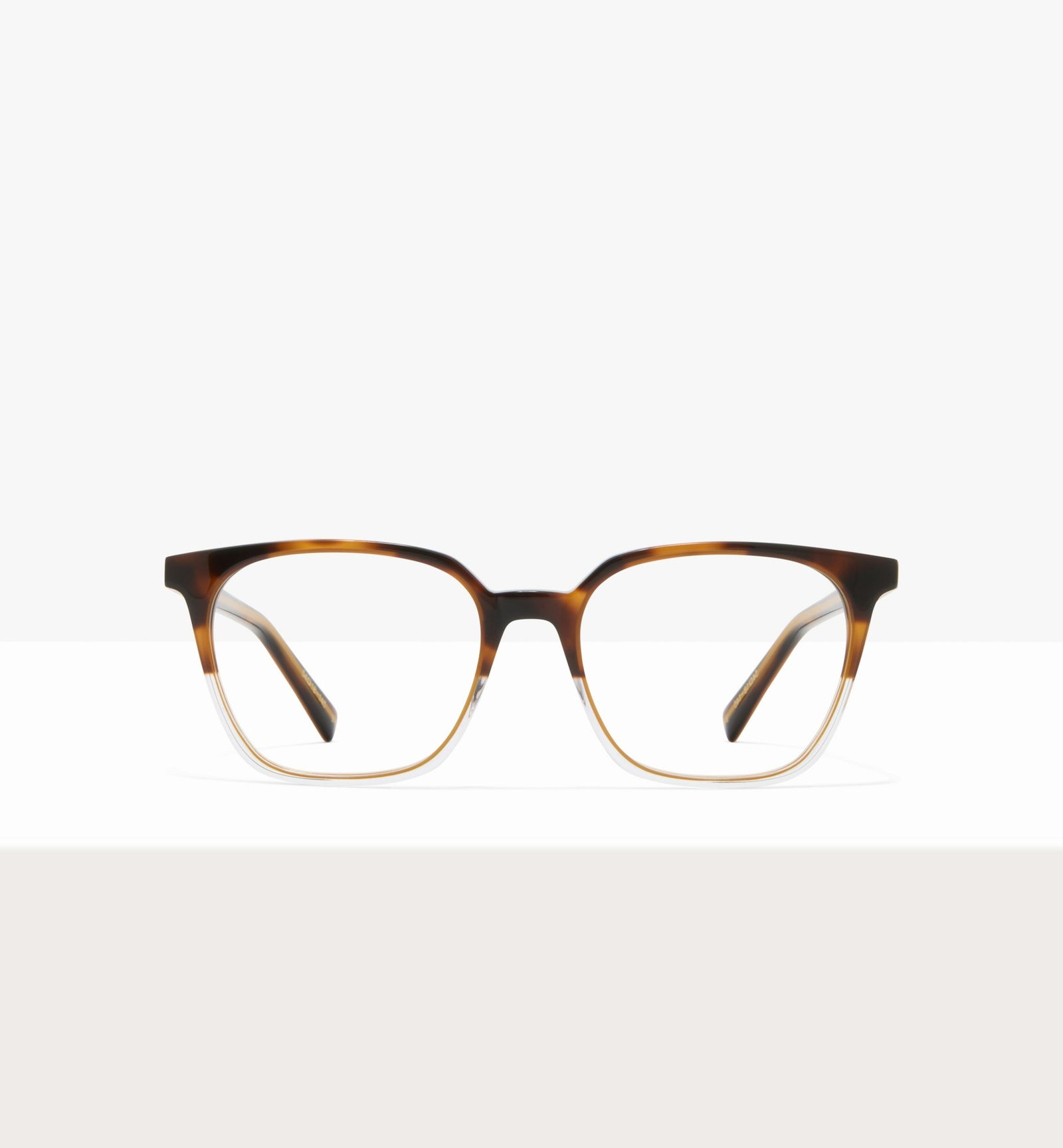 Brown Tort--front_image
