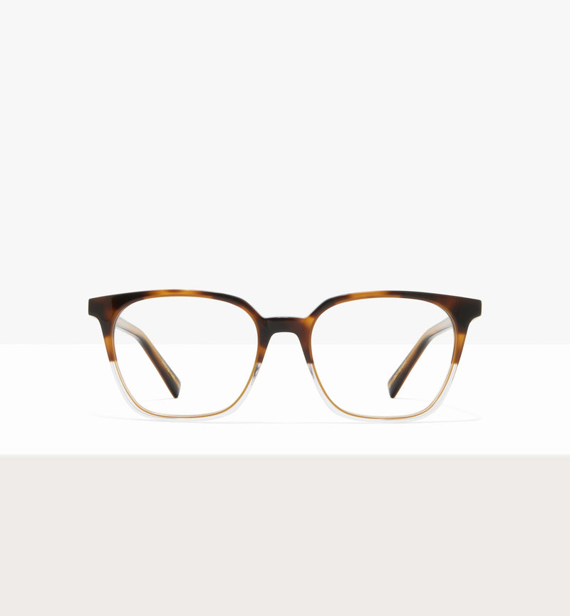 Brown Tort--front_image