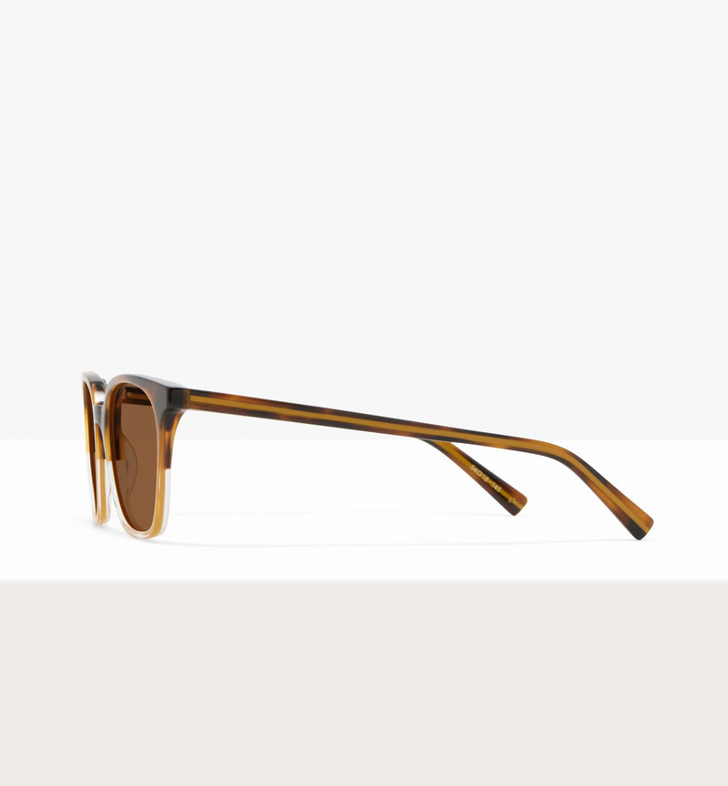 Brown Tort--side_image_sun
