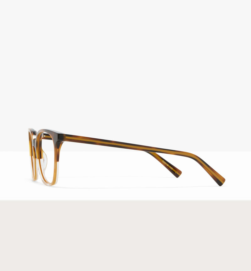 Brown Tort--side_image