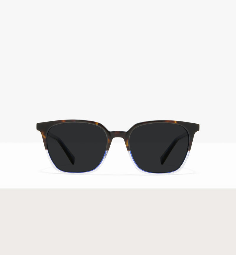 Dark Brown Tort--front_image_sun