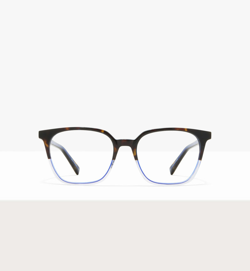 Dark Brown Tort--front_image