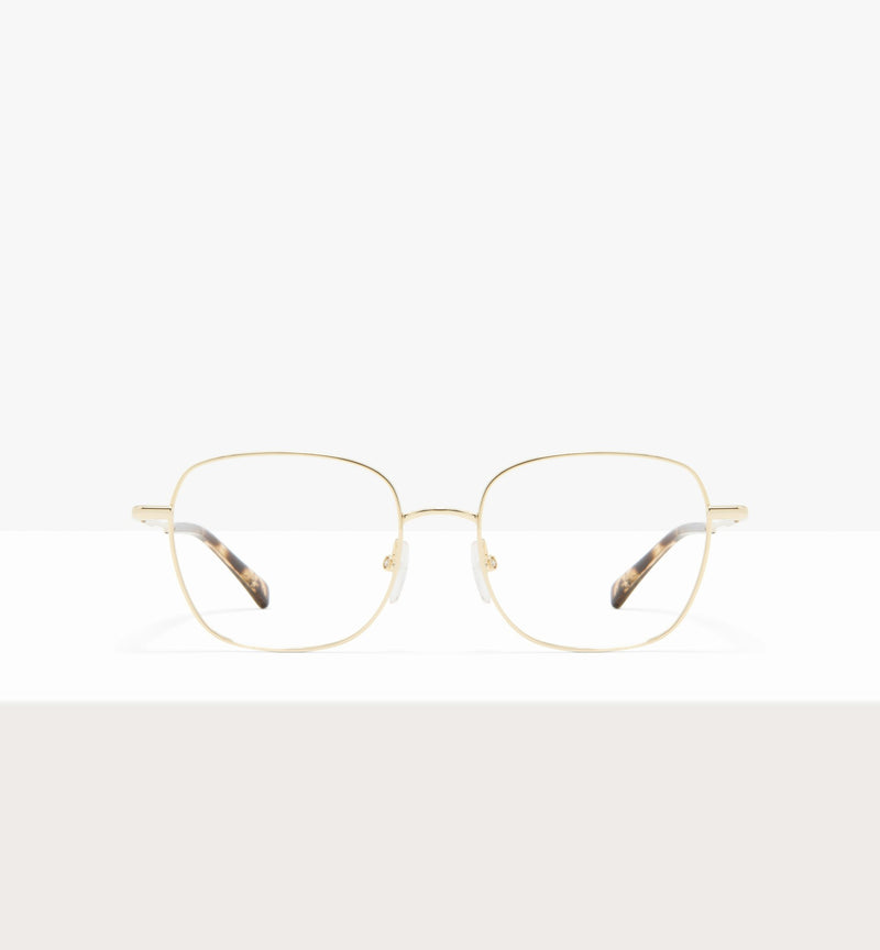 Gold--front_image