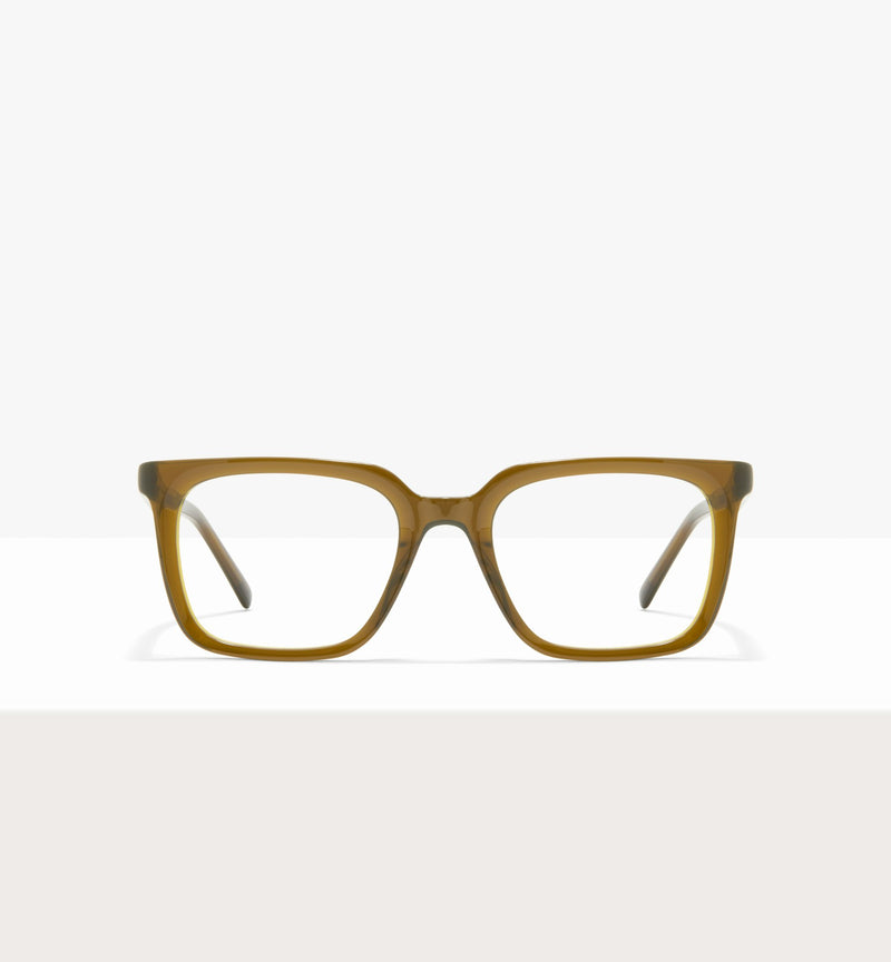 Ochre--front_image