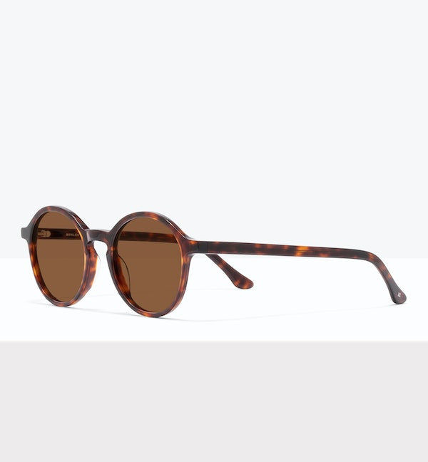 Tortoise--angled_image_sun
